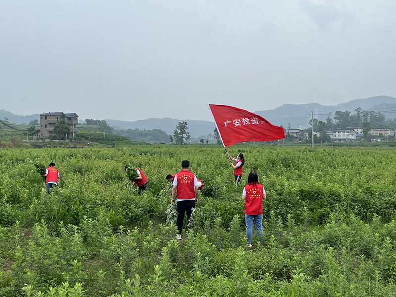 图片 4.png