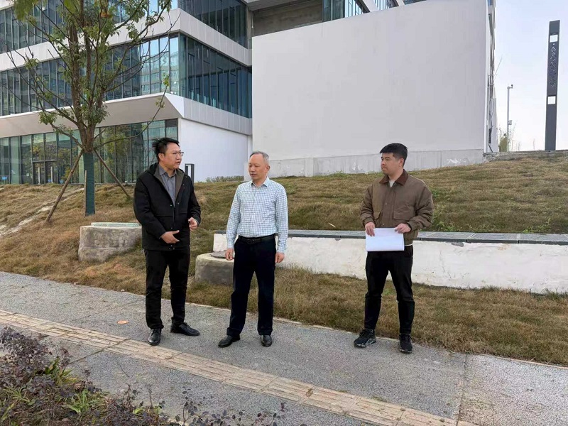 1772094914907041555.jpg 826d0e6878dc8f8fc073154e3bd55f77.jpg