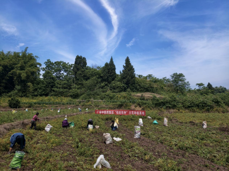 1778569106736060657.png 图片1_副本.png